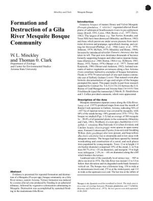 Formation and Destruction of a Gila River Mesquite Bosque Community