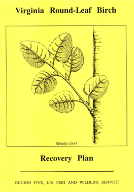 Virginia Round-Leaf Birch Recovery Plan