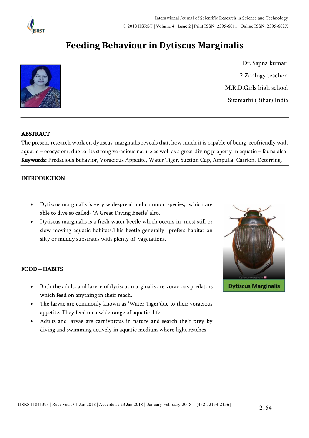 Feeding Behaviour in Dytiscus Marginalis