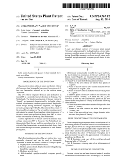 (12) United States Plant Patent (10) Patent No.: US PP24,767 P2 Van Der Sar (45) Date of Patent: Aug