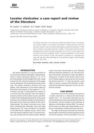 Levator Claviculae: a Case Report and Review of the Literature