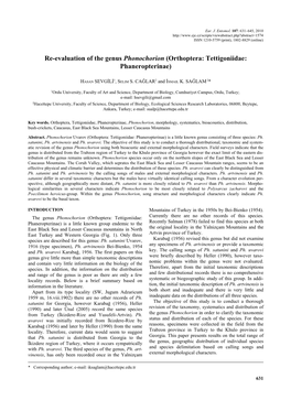 Re-Evaluation of the Genus Phonochorion (Orthoptera: Tettigoniidae: Phaneropterinae)