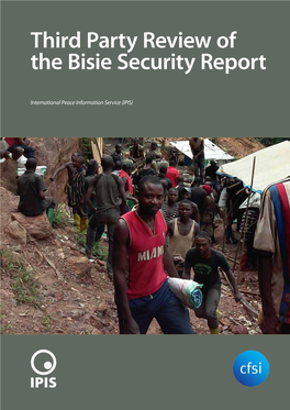 Third Party Review of the Bisie Security Report
