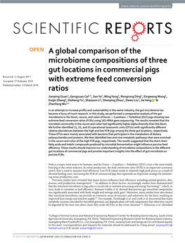 A Global Comparison of the Microbiome Compositions of Three
