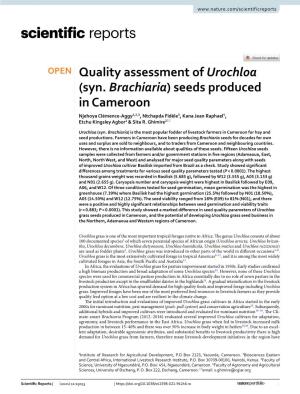 Quality Assessment of Urochloa (Syn. Brachiaria) Seeds Produced In