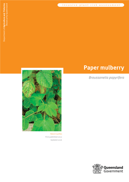 Paper Mulberry