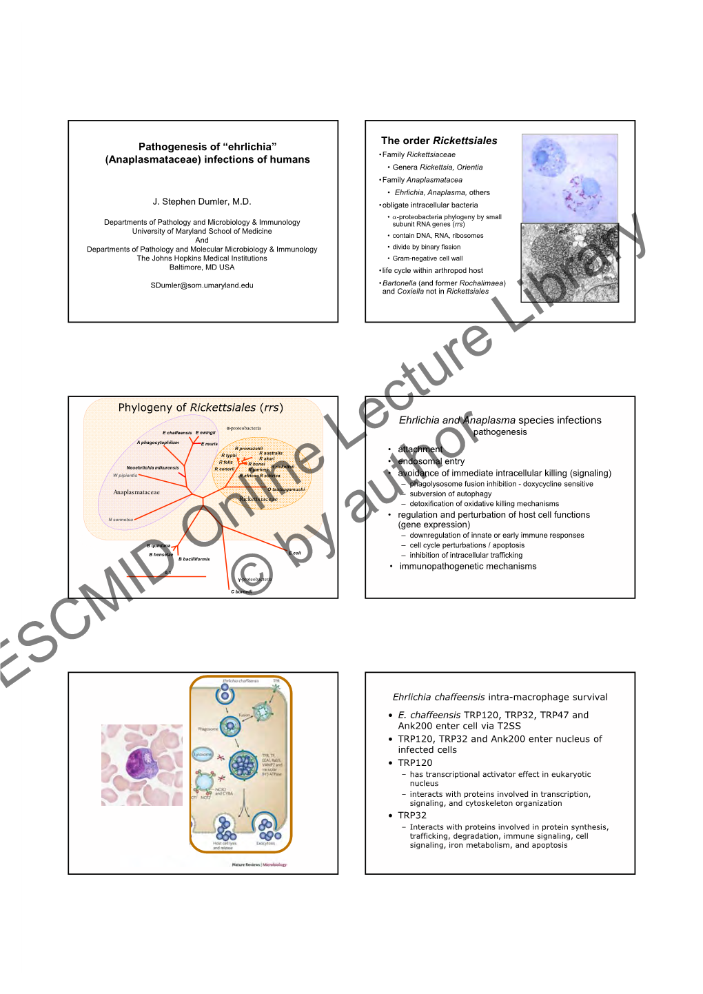 ESCMID Online Lecture Library © by Author