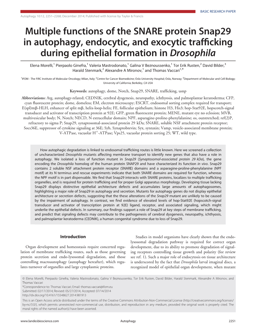 Multiple Functions of the SNARE Protein Snap29 in Autophagy, Endocytic, and Exocytic Trafﬁcking During Epithelial Formation in Drosophila