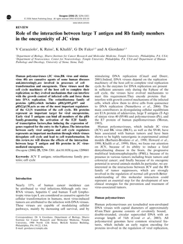 Role of the Interaction Between Large T Antigen and Rb Family Members in the Oncogenicity of JC Virus