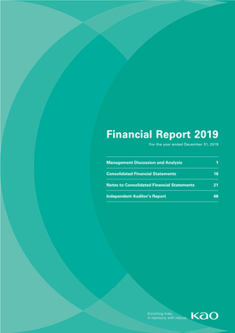 Financial Report 2019 for the Year Ended December 31, 2019