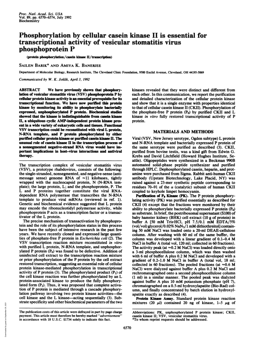 Phosphorylation by Cellular Casein Kinase II Is Essential For