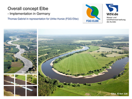 Discuss This Overall Concept As a Basis for Future Action Related to the Elbe As a Living Environment and Transport Route