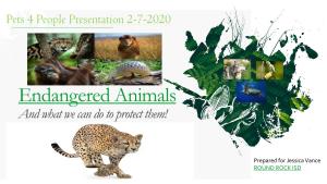 Endangered Animals and What We Can Do to Protect Them!