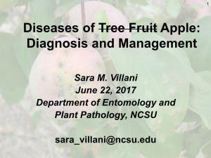 Diseases of Tree Fruit Apple: Diagnosis and Management