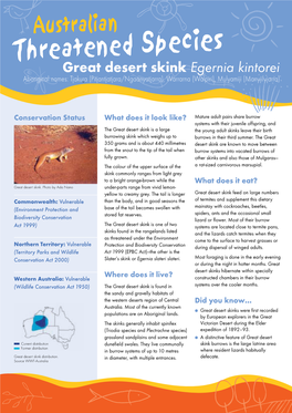 Great Desert Skink Egernia Kintorei? Fires That Could Escape Into the Bush