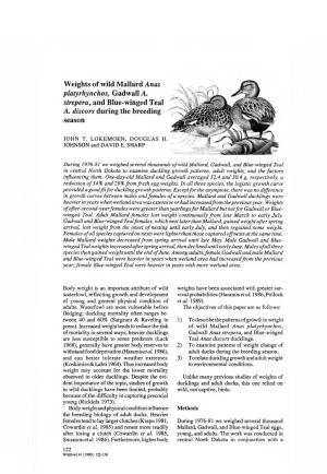 Weights of Wild Mallard Anas Platyrhynchos, Gadwall A. Streperà, and Blue-Winged Teal A