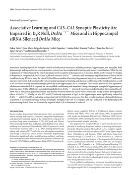 Associative Learning and CA3–CA1 Synaptic Plasticity Are Impaired In
