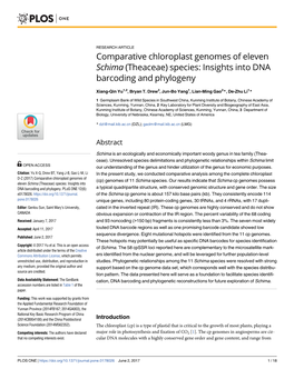 (Theaceae) Species: Insights Into DNA Barcoding and Phylogeny