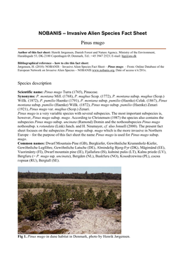 Alien Invasive Species Fact Sheet – Pinus Mugo