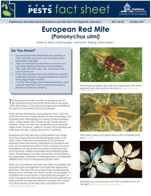 European Red Mite (Panonychus Ulmi) Diane G