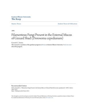 Filamentous Fungi Present in the External Mucus of Gizzard Shad (Dorosoma Cepedianum) Kenneth C