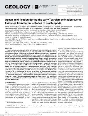 Ocean Acidification During the Early Toarcian