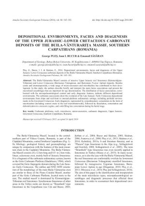 Depositional Environments, Facies and Diagenesis of The