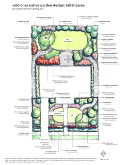 Wild Ones Native Garden Design: Tallahassee by Caleb Melchior | Spring 2021
