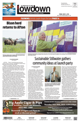 Sustainable Stillwater Gathers Community Ideas at Launch Party