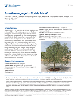 Forestiera Segregata: Florida Privet1 Edward F