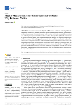 Plectin-Mediated Intermediate Filament Functions: Why Isoforms Matter