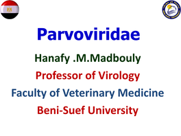 Parvoviridae Hanafy .M.Madbouly Professor of Virology Faculty of Veterinary Medicine Beni-Suef University