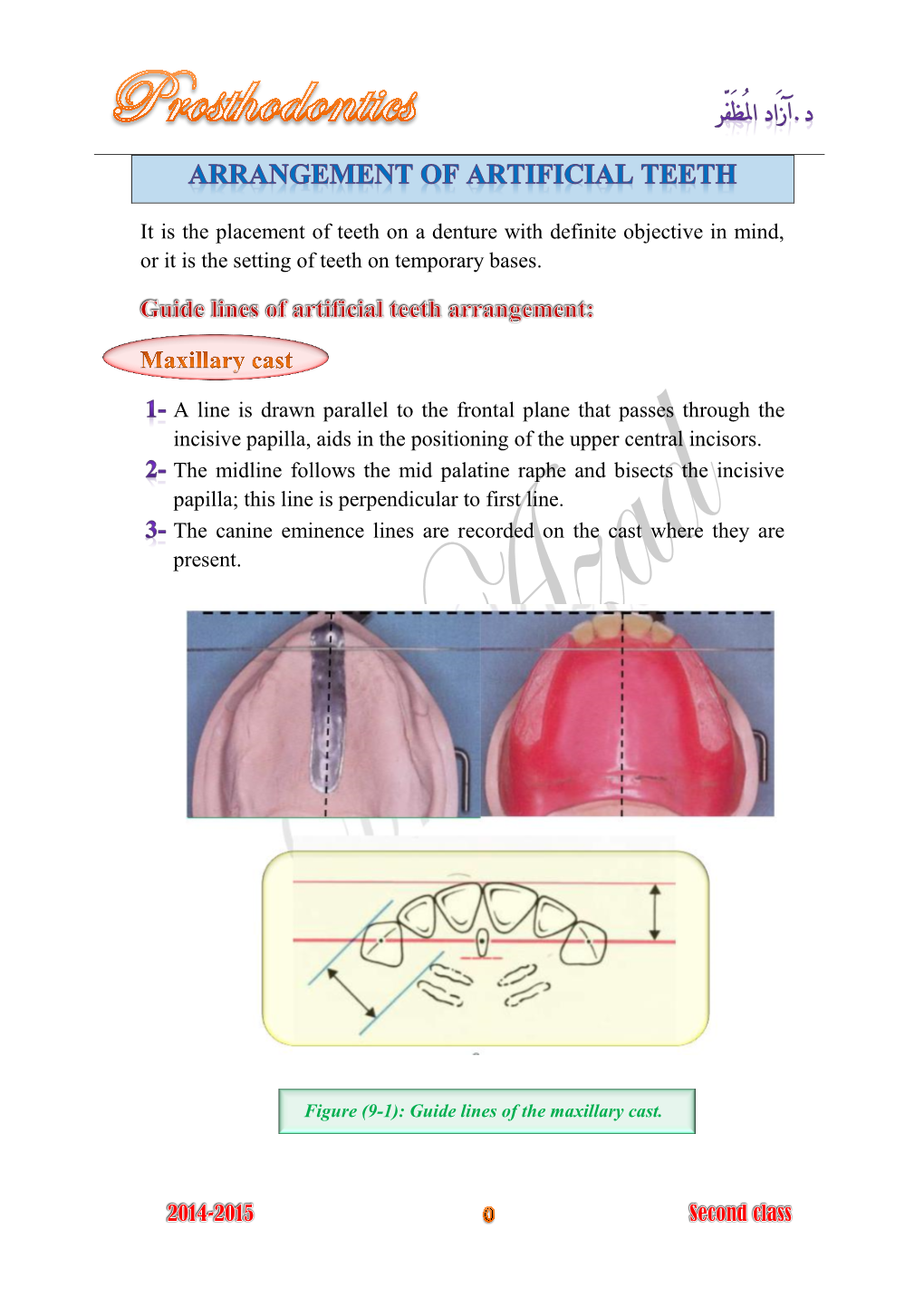 It Is the Placement of Teeth on a Denture with Definite Objective in Mind, Or It Is the Setting of Teeth on Temporary Bases