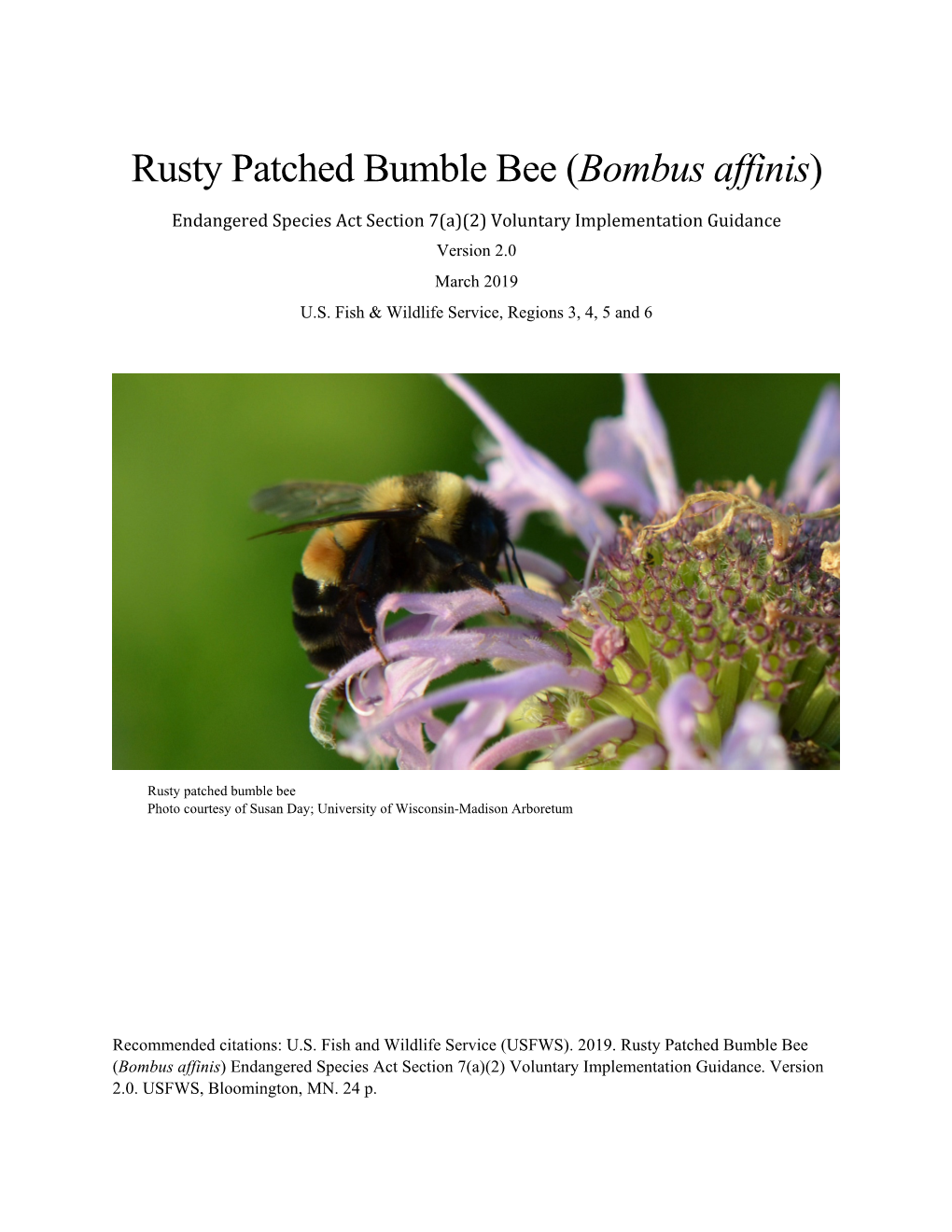 Rusty Patched Bumble Bee (Bombus Affinis) Endangered Species Act Section 7(A)(2) Voluntary Implementation Guidance Version 2.0 March 2019 U.S