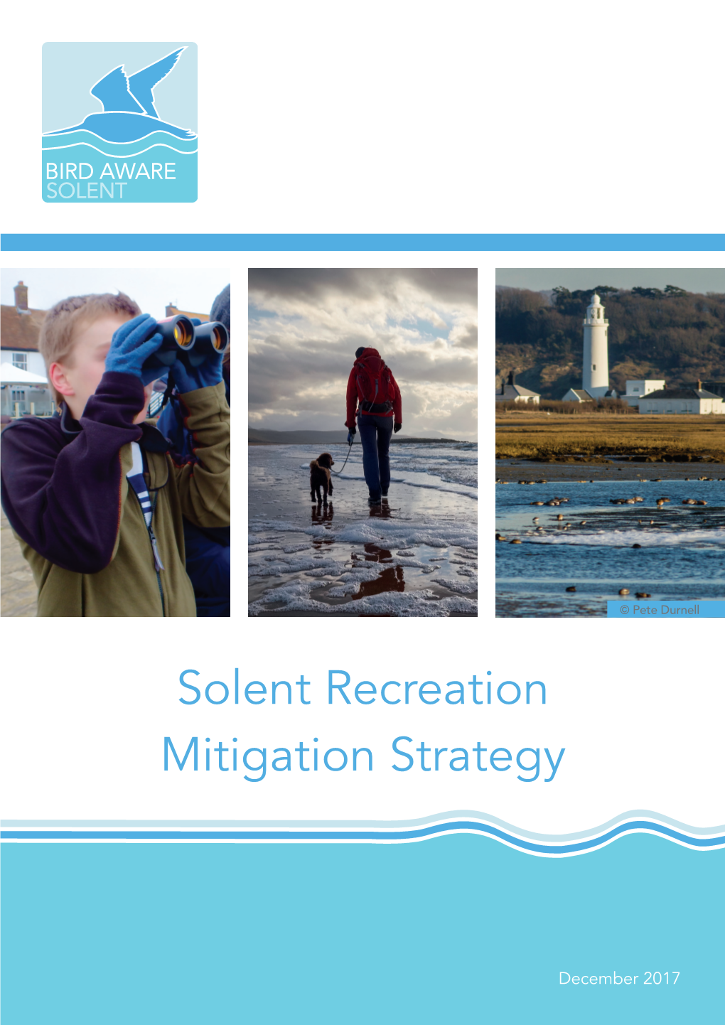 Solent Recreation Mitigation Strategy
