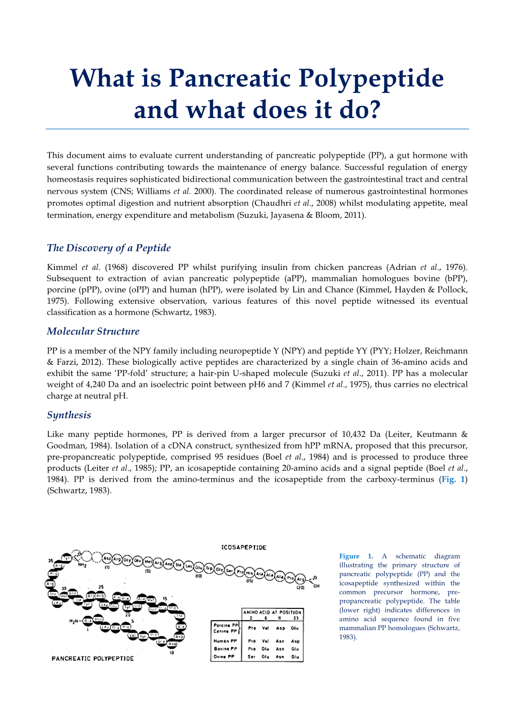 What Is Pancreatic Polypeptide and What Does It Do?