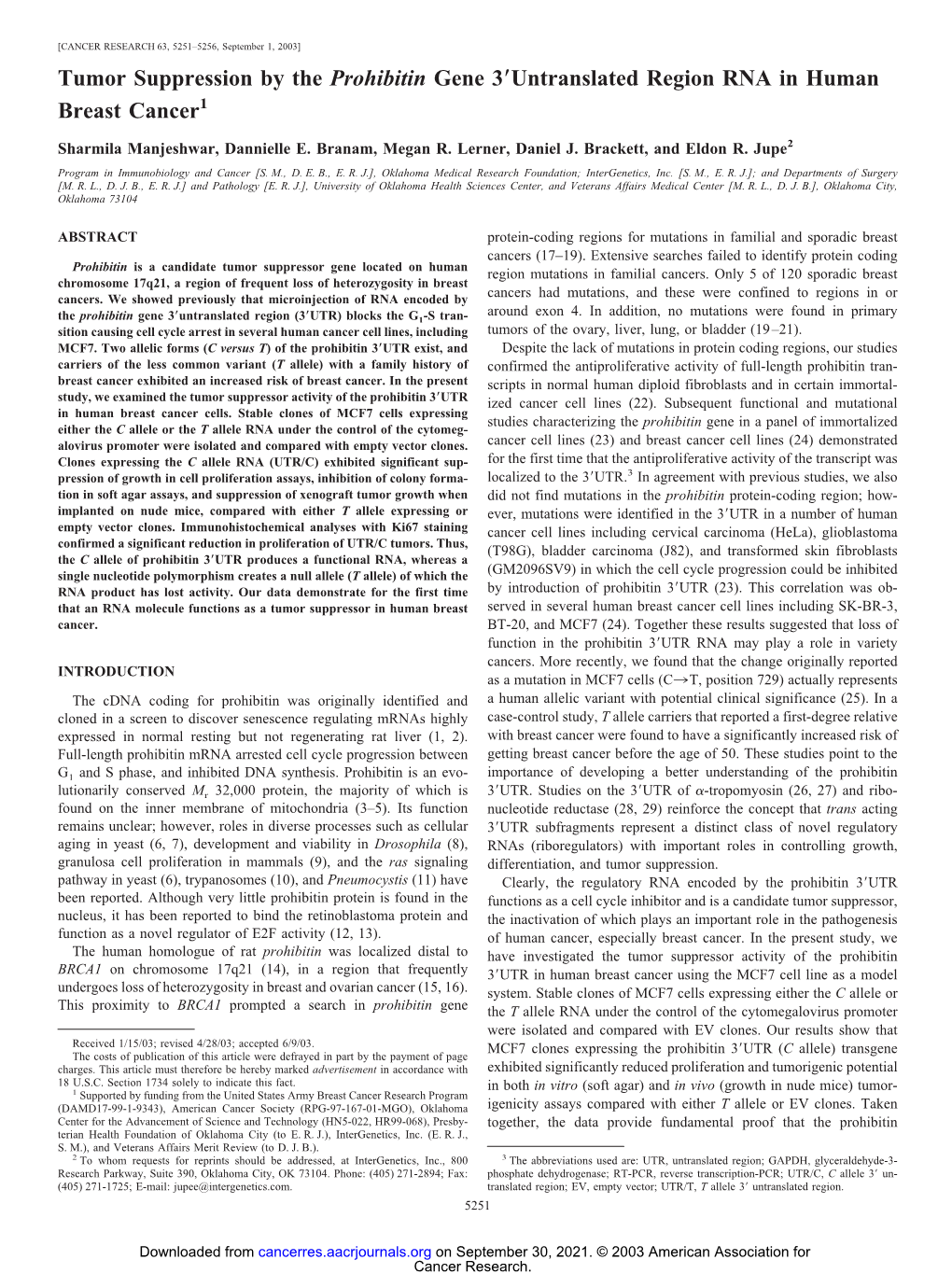 Tumor Suppression by the Prohibitin Gene 3 Untranslated Region RNA