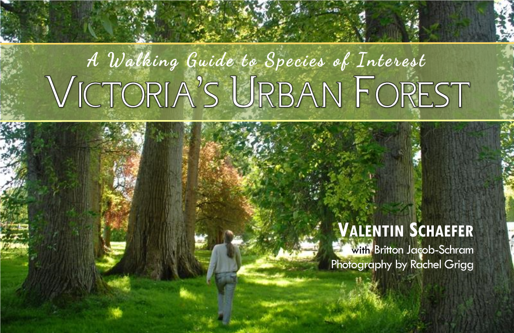 Victoria's Urban Forest