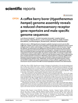 Hypothenemus Hampei) Genome Assembly Reveals a Reduced Chemosensory Receptor Gene Repertoire and Male‑Specifc Genome Sequences Lucio Navarro‑Escalante1*, Erick M
