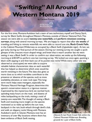Around Western Montana 2019 by Caroline Provost