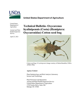 Technical Bulletin for Oxycarenus Hyalinipennis (Cotton Seed Bug)