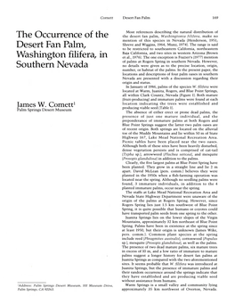 Desert Fan Palm, Southern Nevada