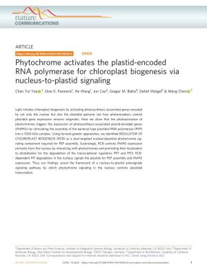Phytochrome Activates the Plastid-Encoded RNA Polymerase for Chloroplast Biogenesis Via Nucleus-To-Plastid Signaling