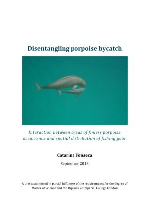Disentangling Porpoise Bycatch