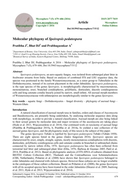 Molecular Phylogeny of Speiropsis Pedatospora