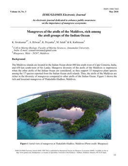 Mangroves of the Atolls of the Maldives, Rich Among the Atoll Groups of the Indian Ocean