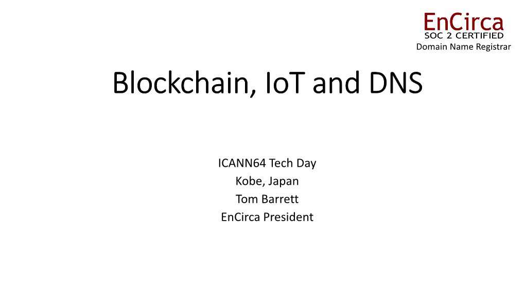 Blockchain, Iot and DNS