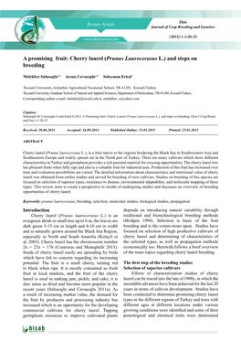 A Promising Fruit: Cherry Laurel (Prunus Laurocerasus L.) and Steps on Breeding