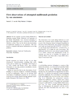 SENCKENBERG First Observations of Attempted Nudibranch Predation By