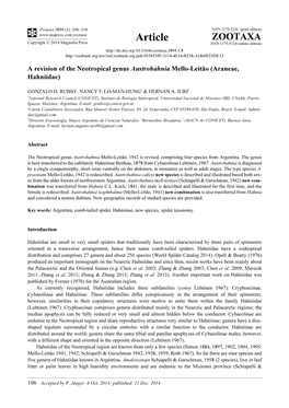 A Revision of the Neotropical Genus Austrohahnia Mello-Leitão (Araneae, Hahniidae)